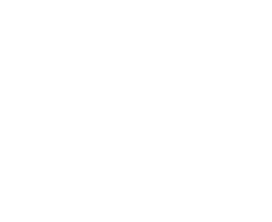 Bunny Entretenimento